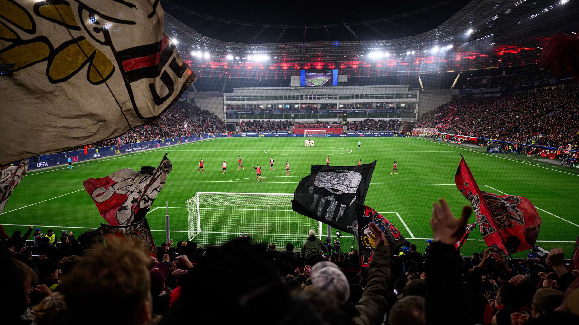 Fans in der BayArena