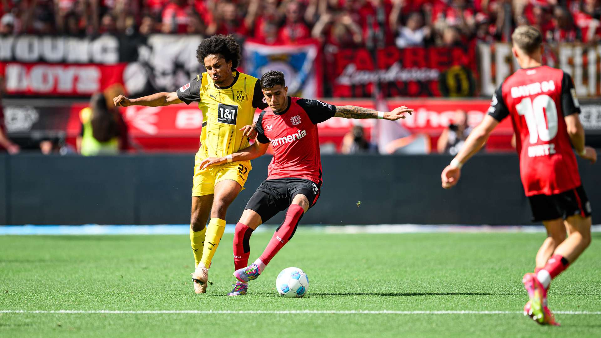 Bayer 04