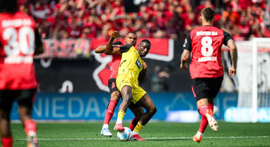 Bayer 04