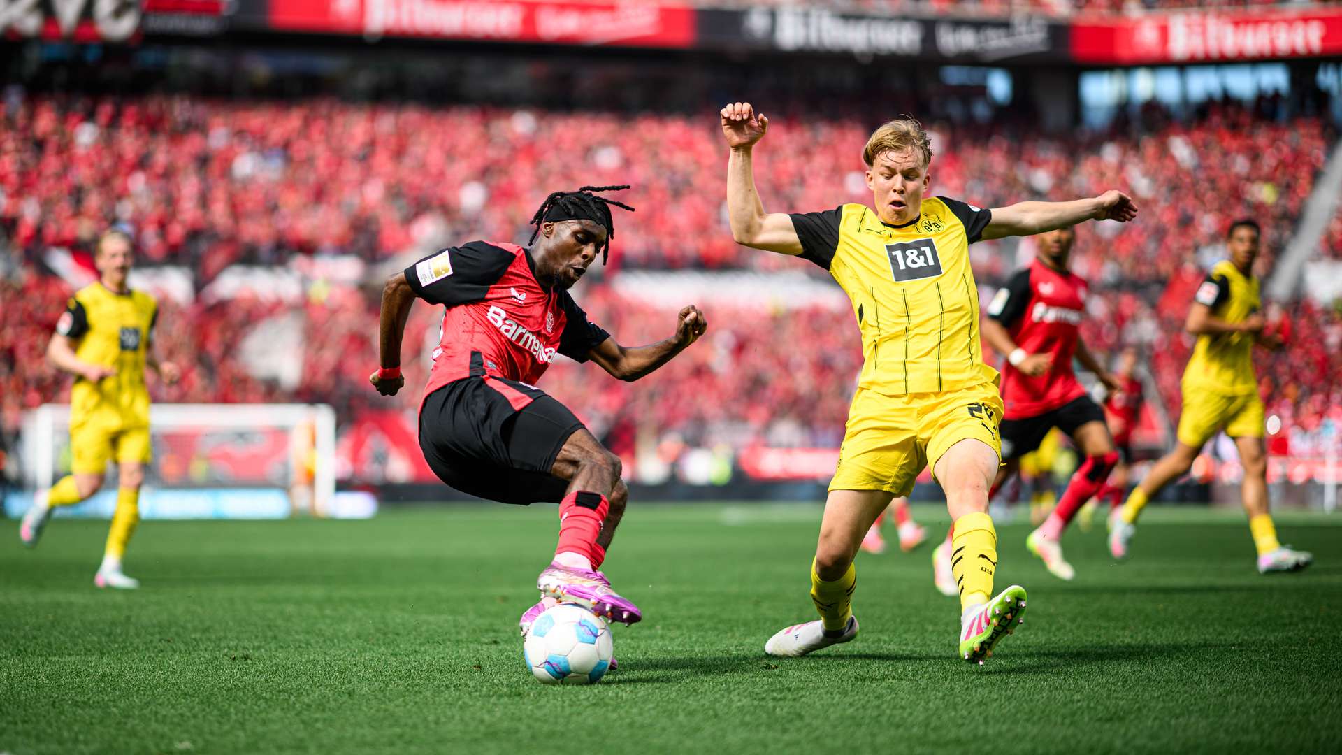 Bayer 04