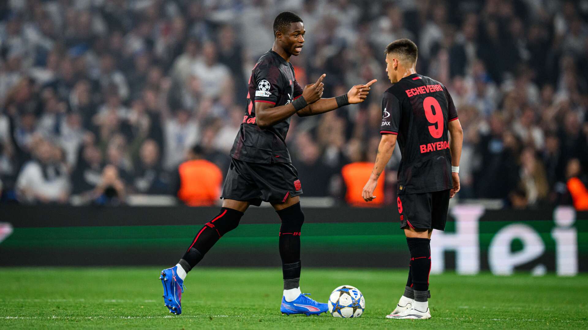 Kofane und Echeverri