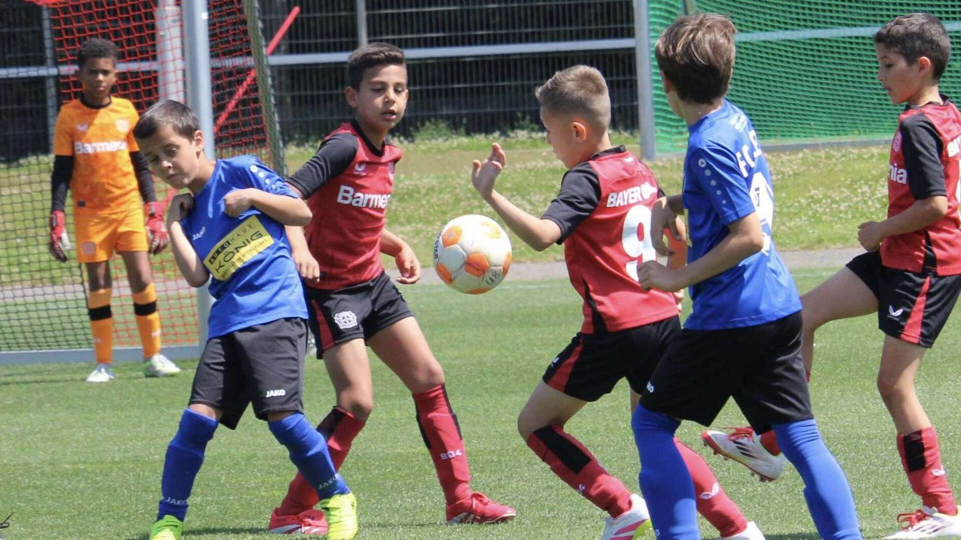 Bayer 04 und FC Deetz