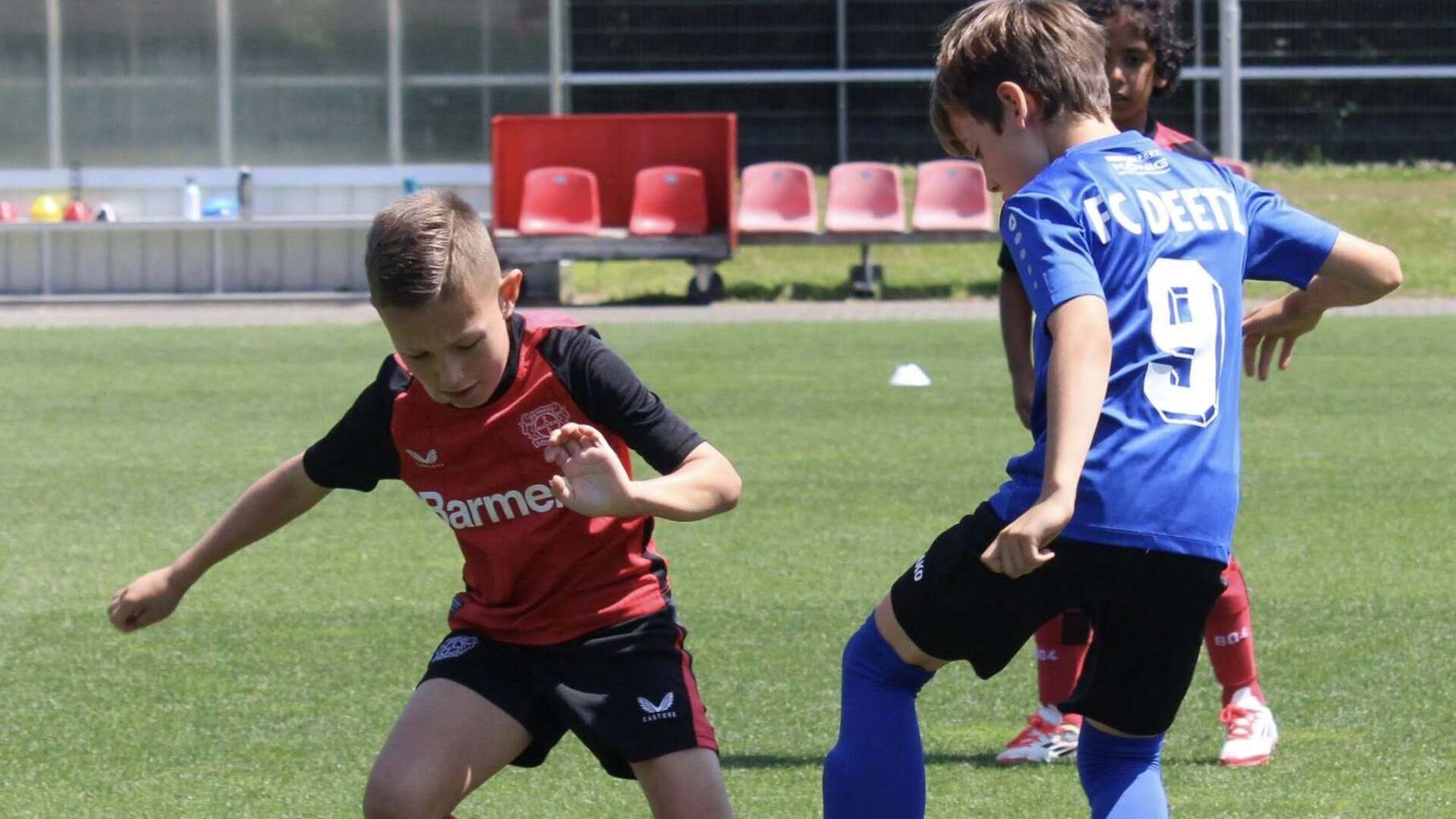 Bayer 04 und FC Deetz