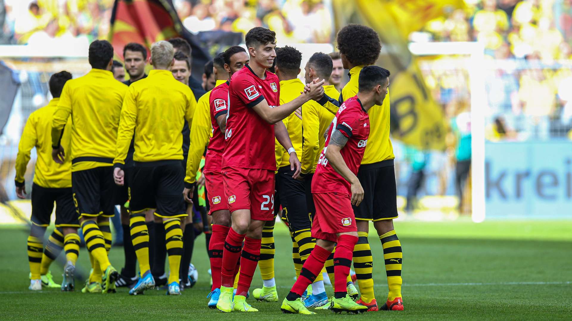 crop_AY7W0319_Auflaufen.jpg