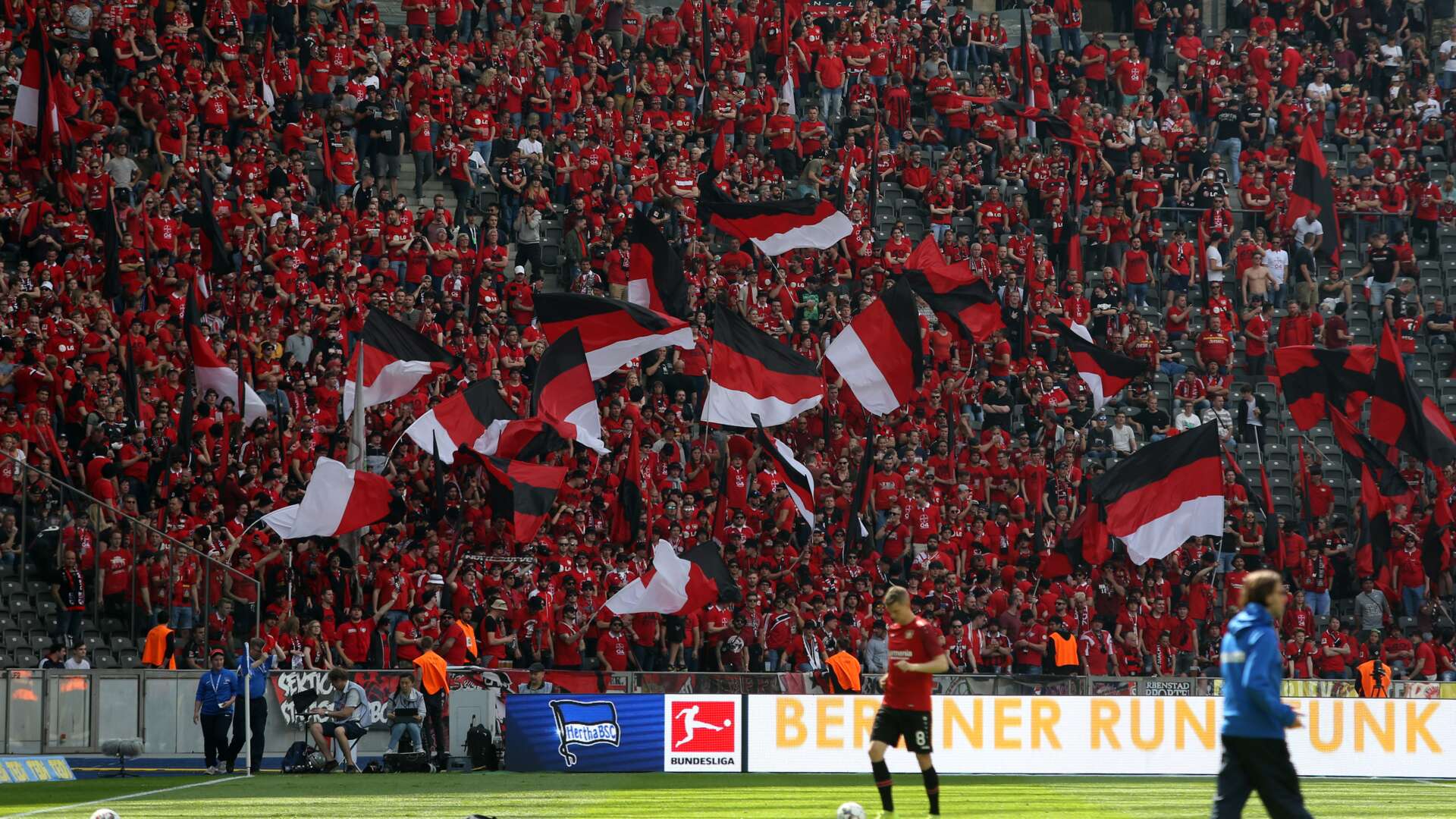 Fans im Olympiastadion