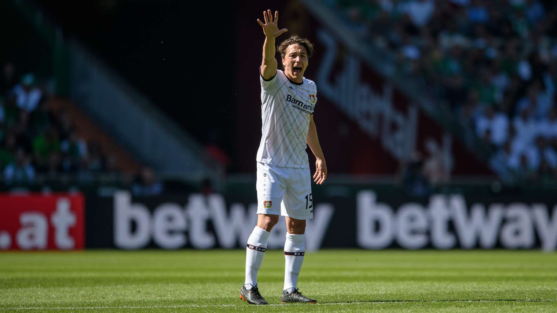 Julian Baumgartlinger