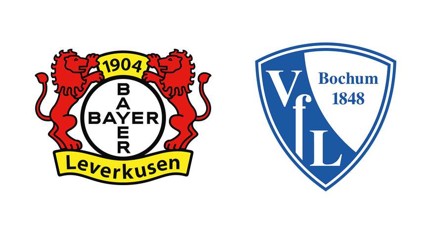 crop_Bayer04_VfL_Bochum_RGB_2223.jpg