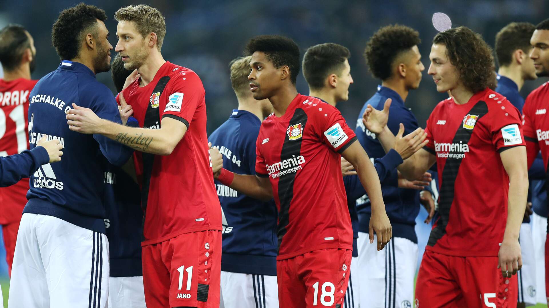 Werkself, Schalke