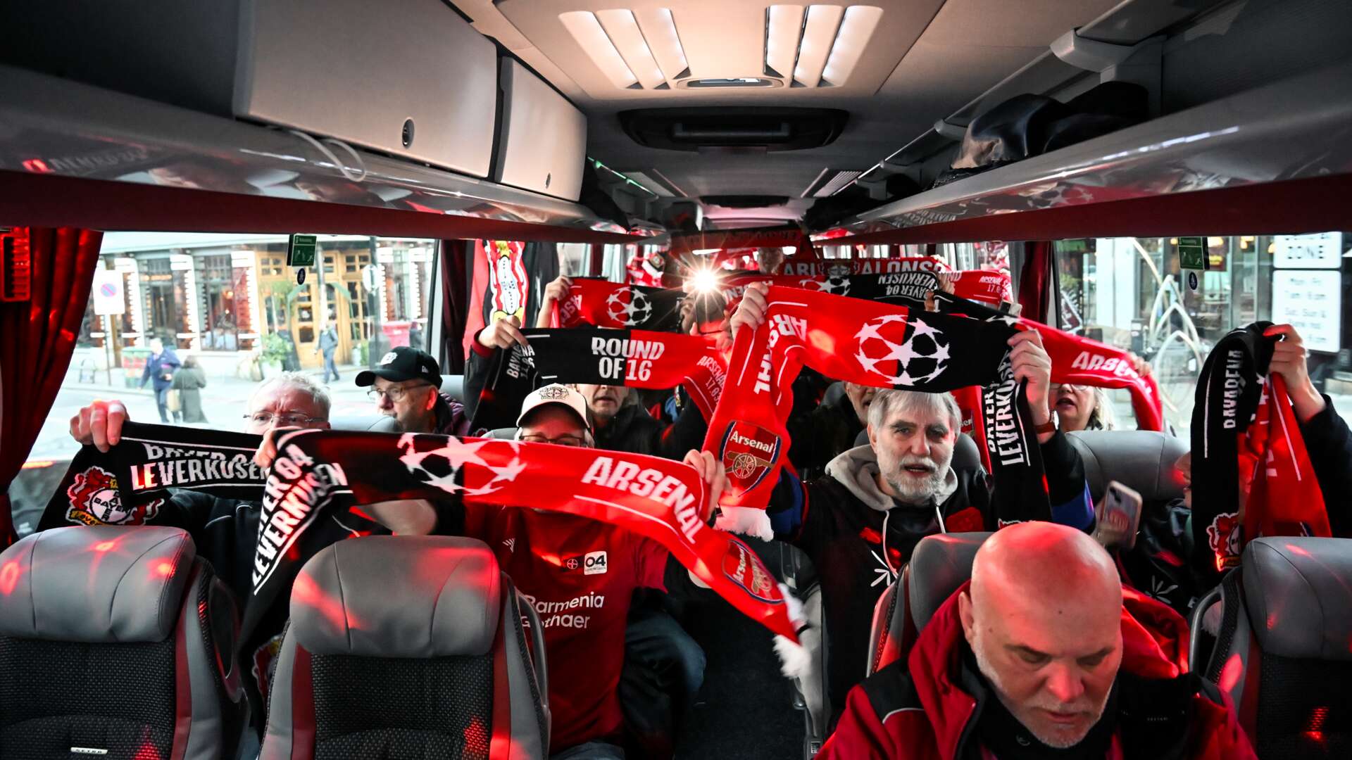 Silberlöwen im Bus