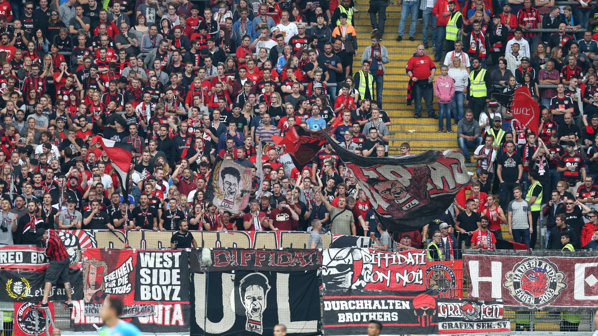 Fans