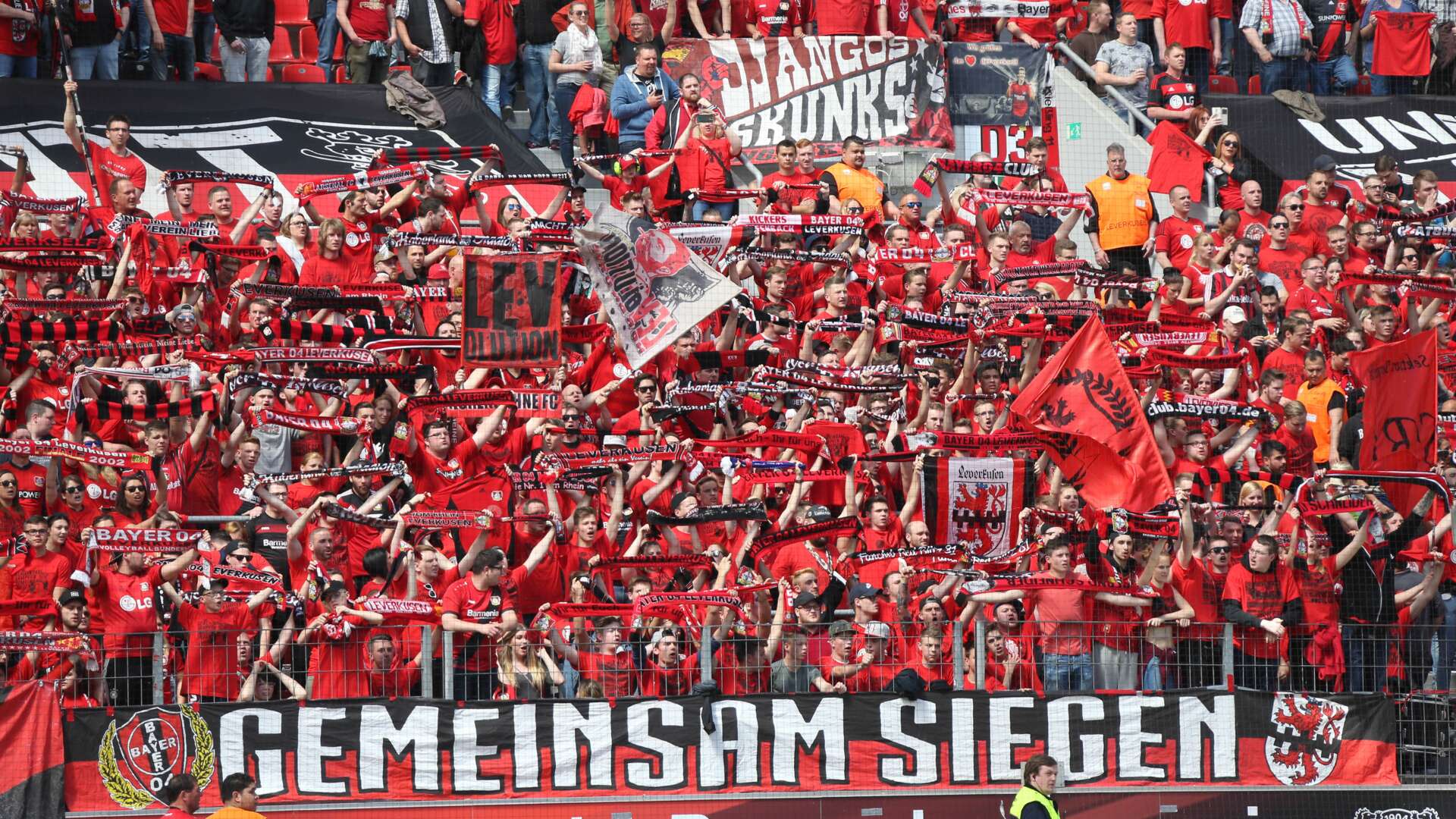Fans BayArena