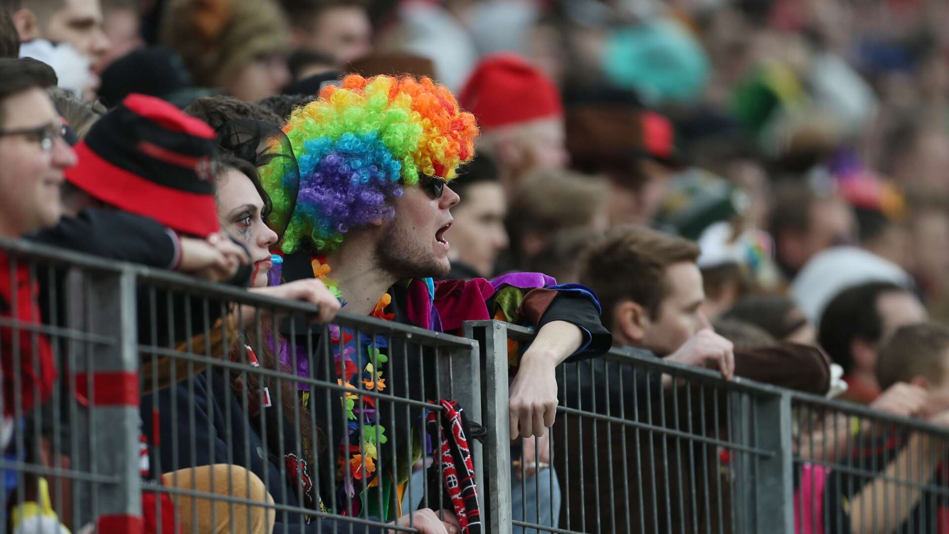 Fans, Karneval