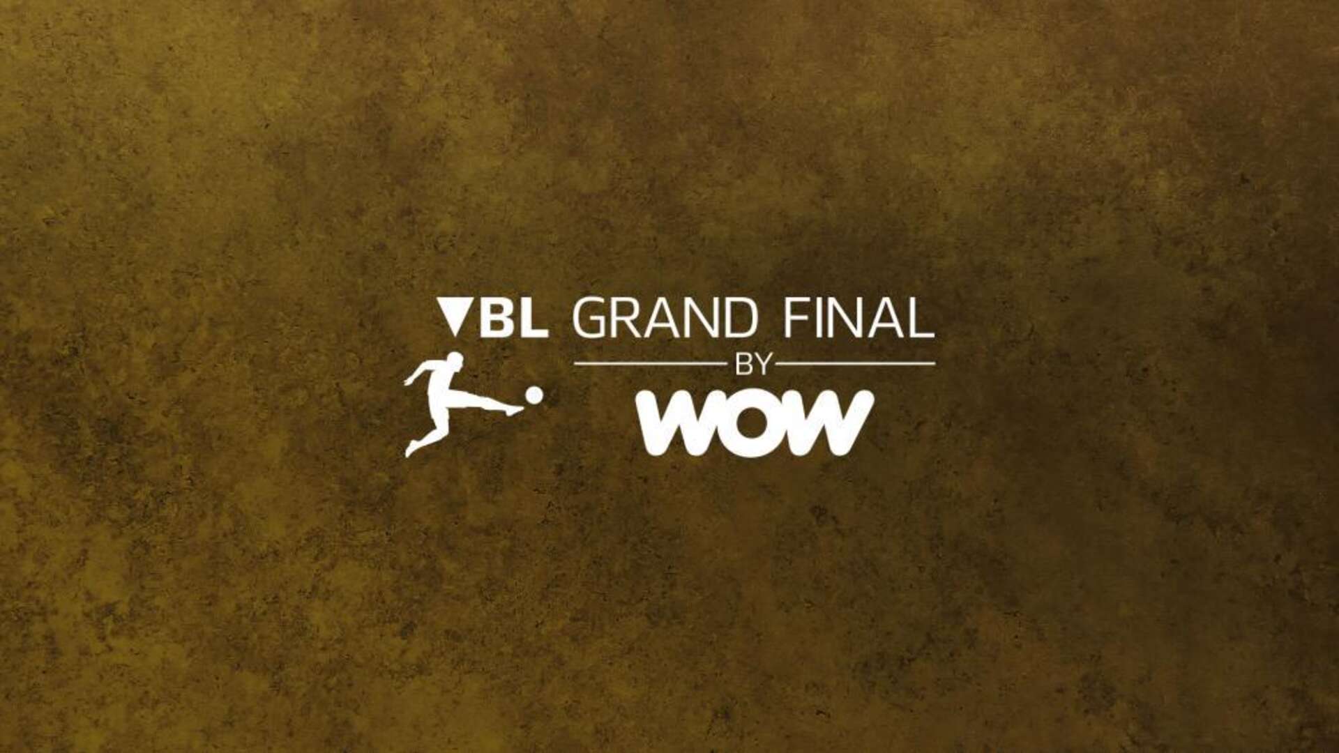 VBL Grand Final