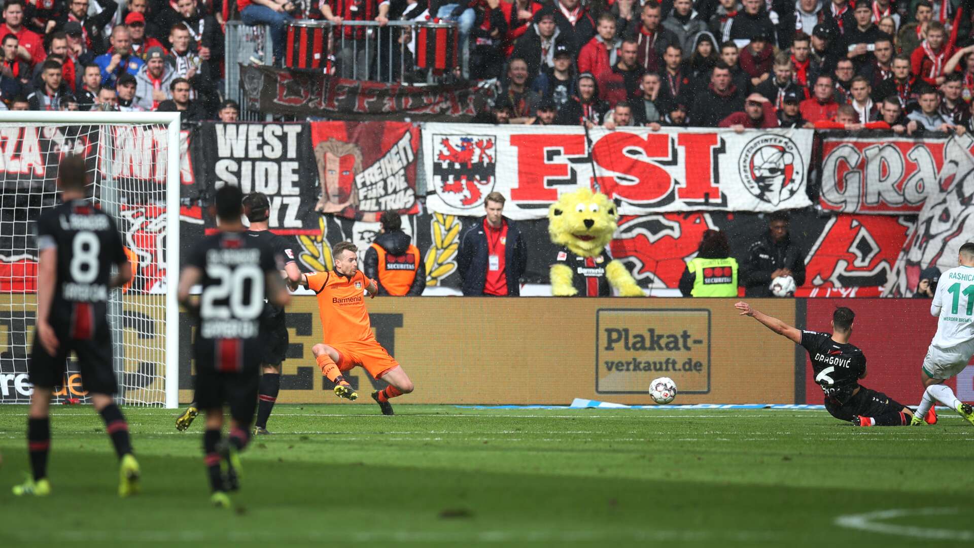 Lukas Hradecky