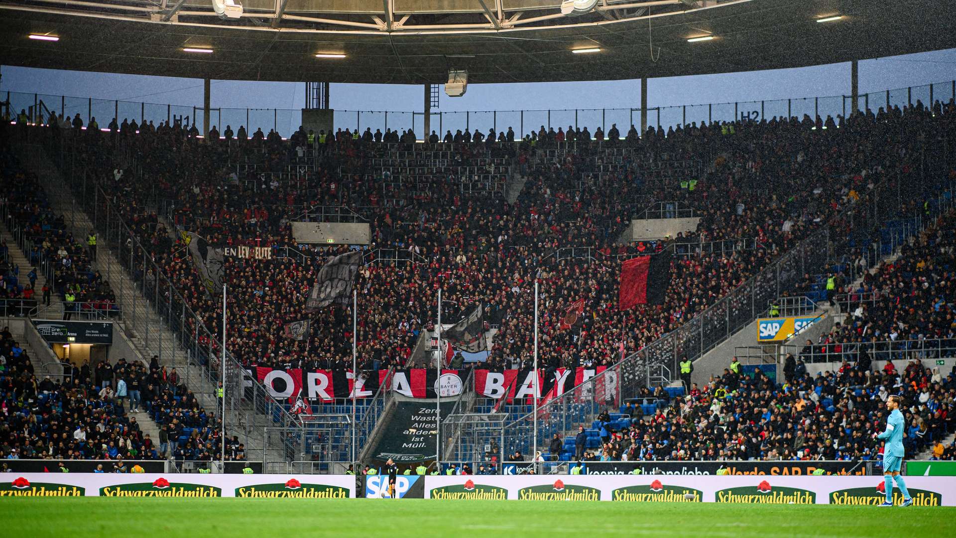 Bayer 04-Fans in Sinsheim