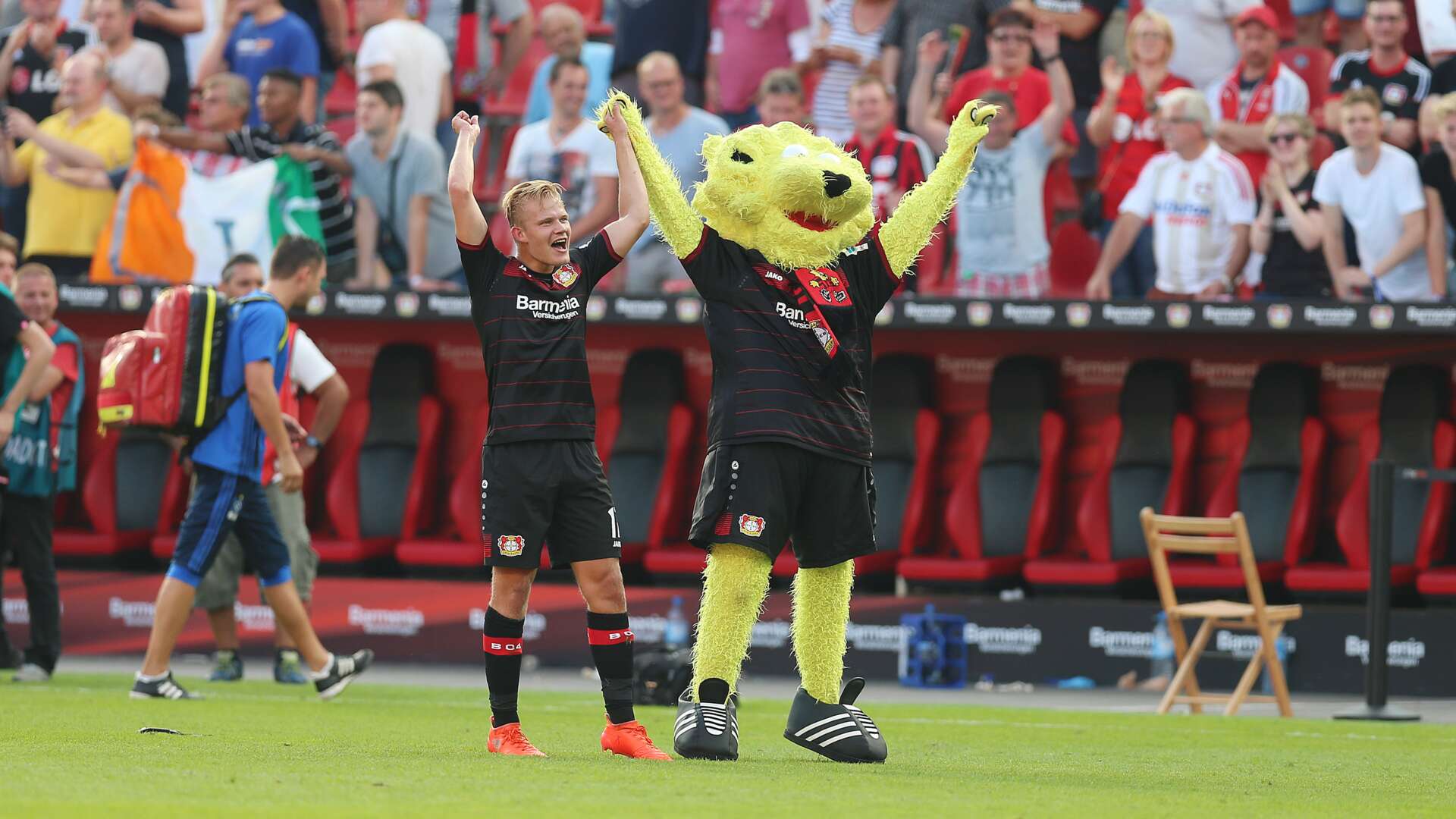 Pohjanpalo, Brian the Lion