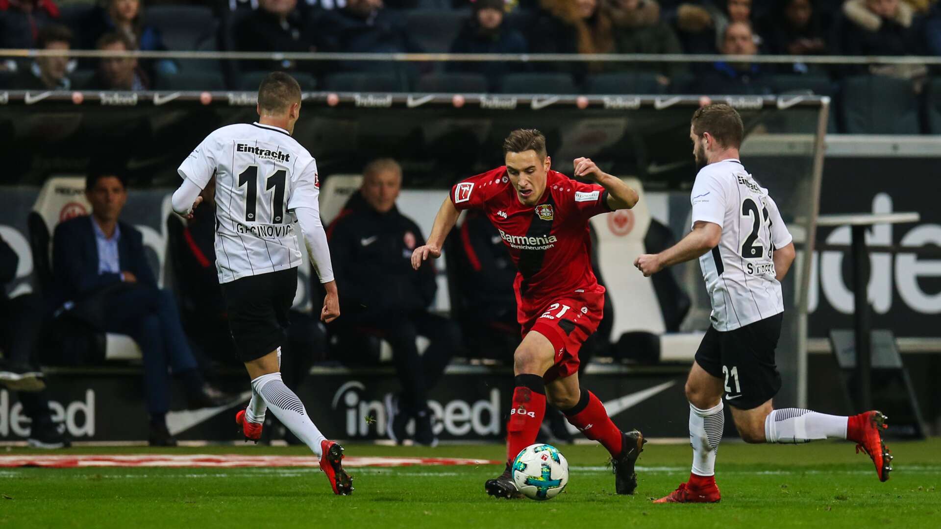 Dominik Kohr