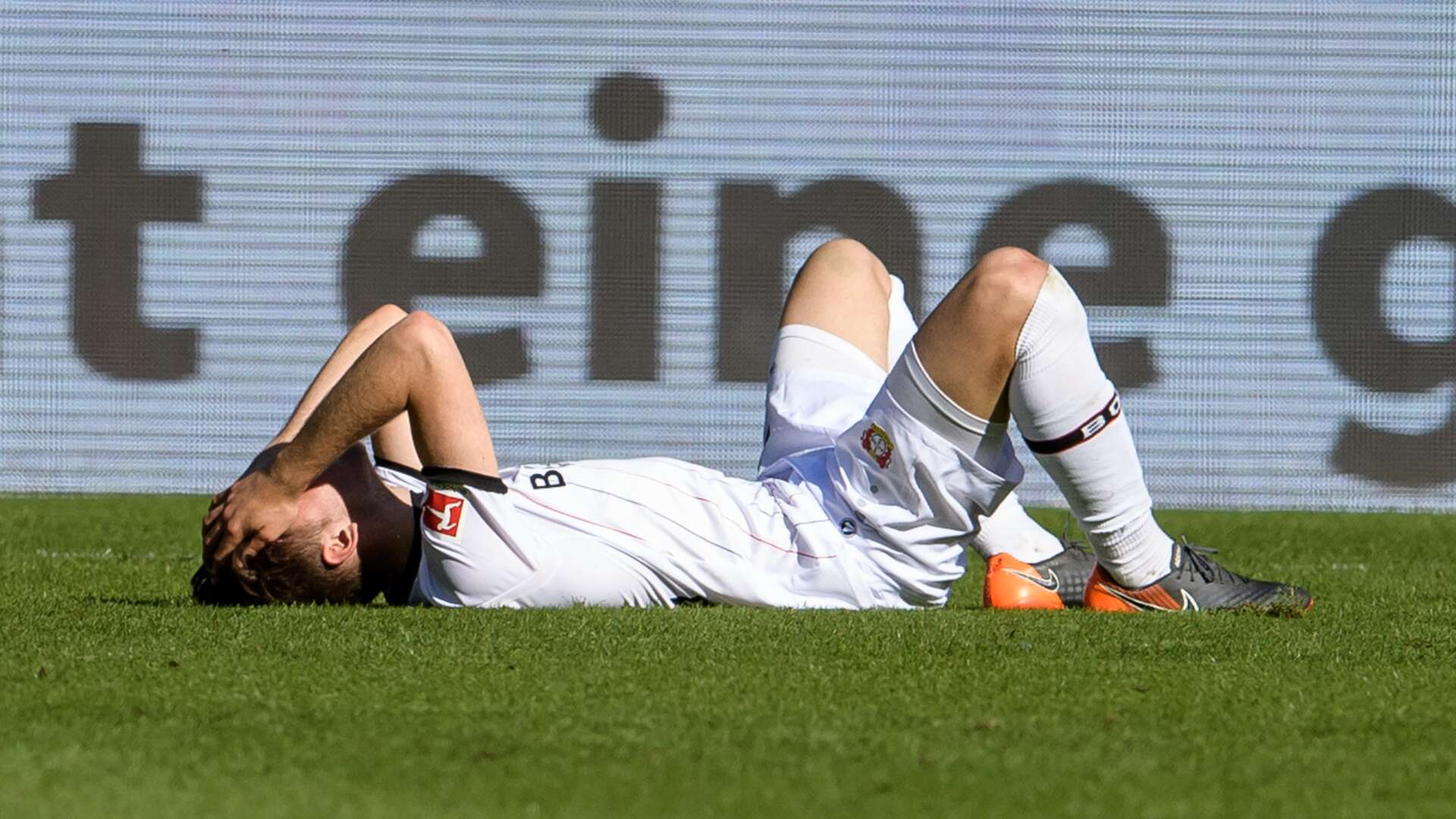 Dominik Kohr