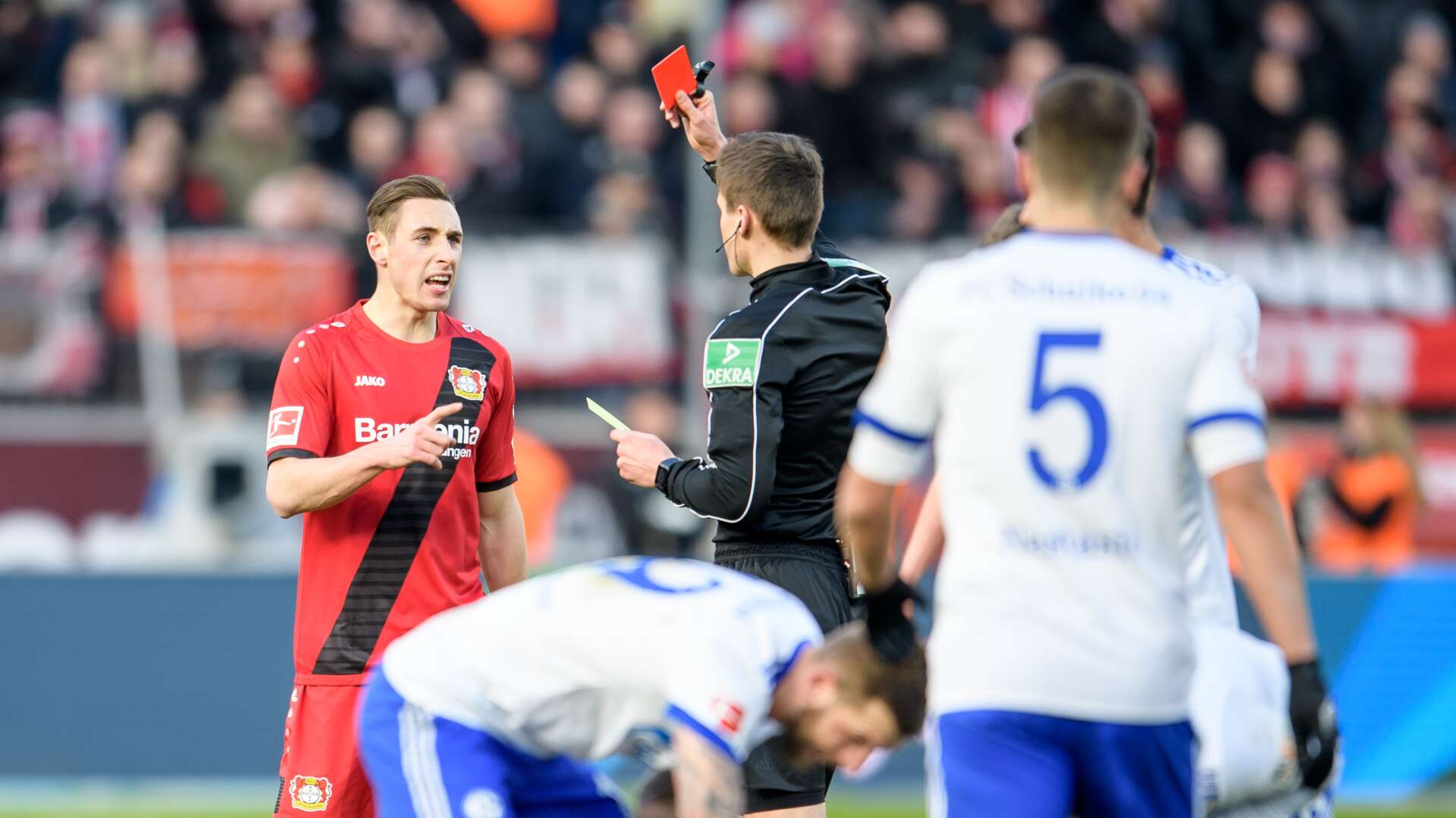 Dominik Kohr
