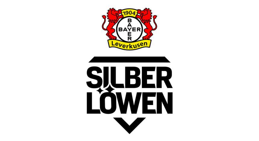 crop_Logo_B04_SILBERLOEWEN_1920x1080_2.jpg