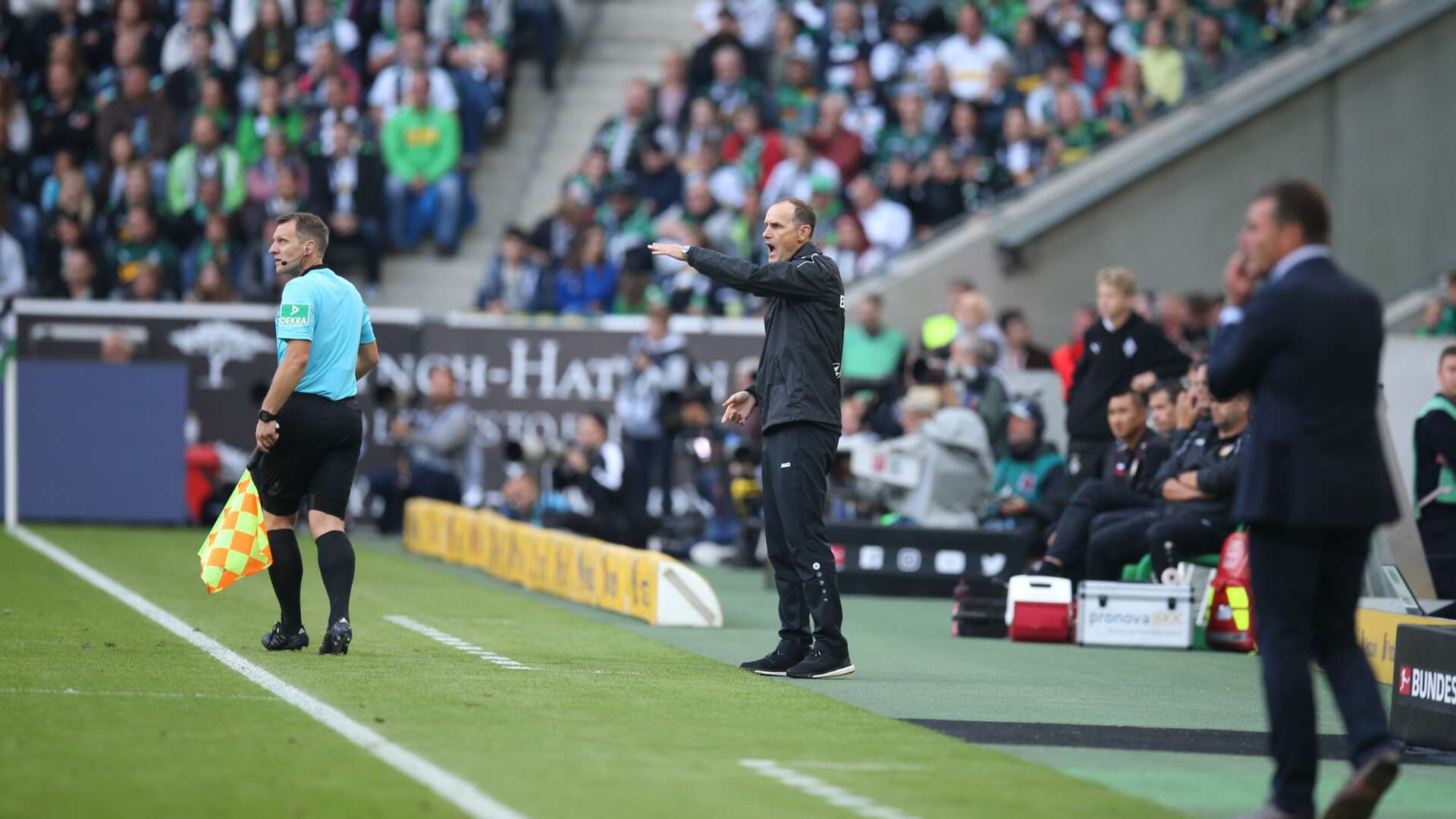 Heiko Herrlich