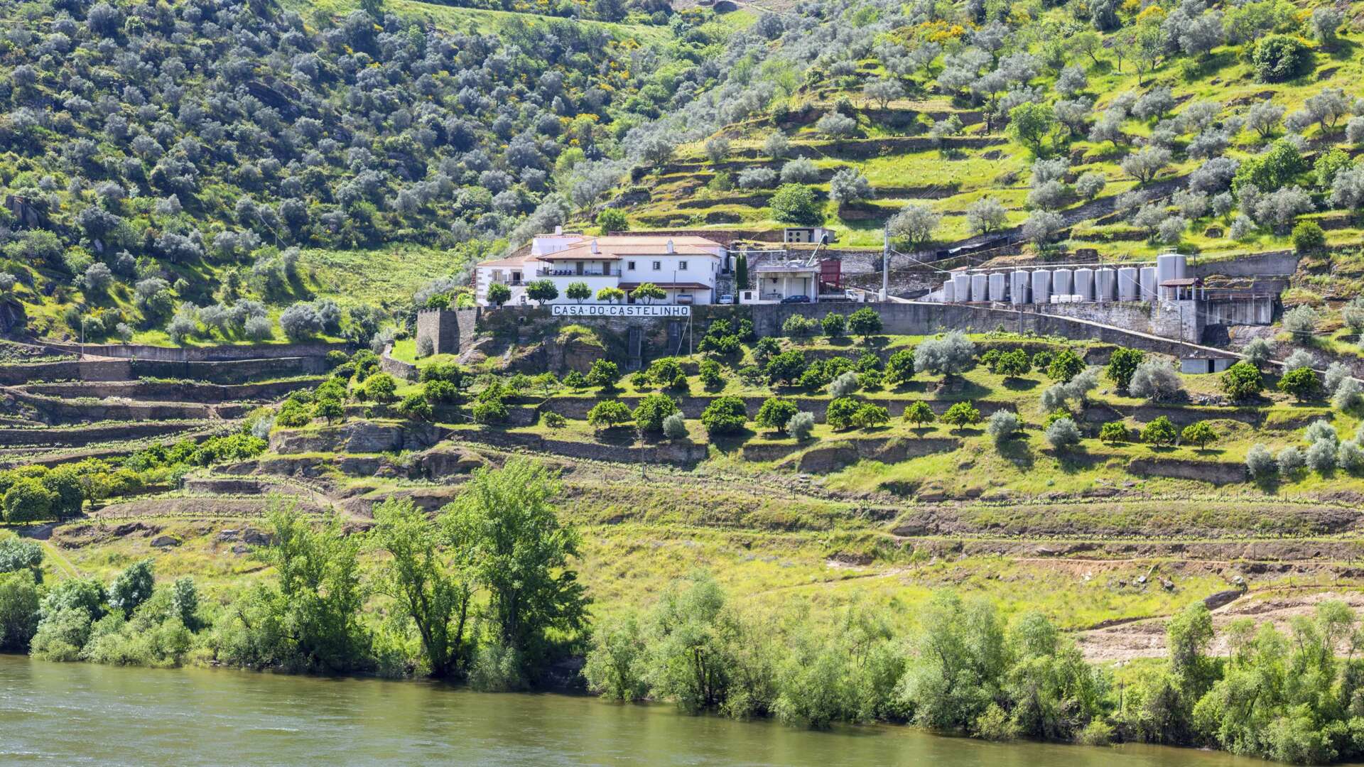 Douro-Tal